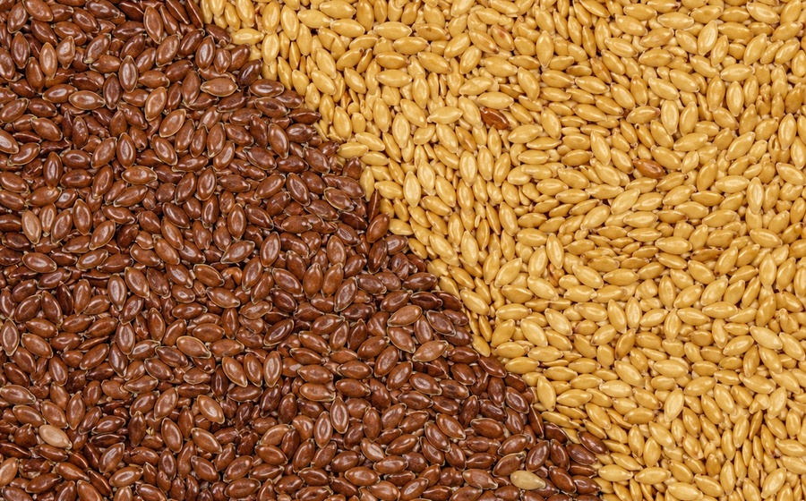 Flax Seeds