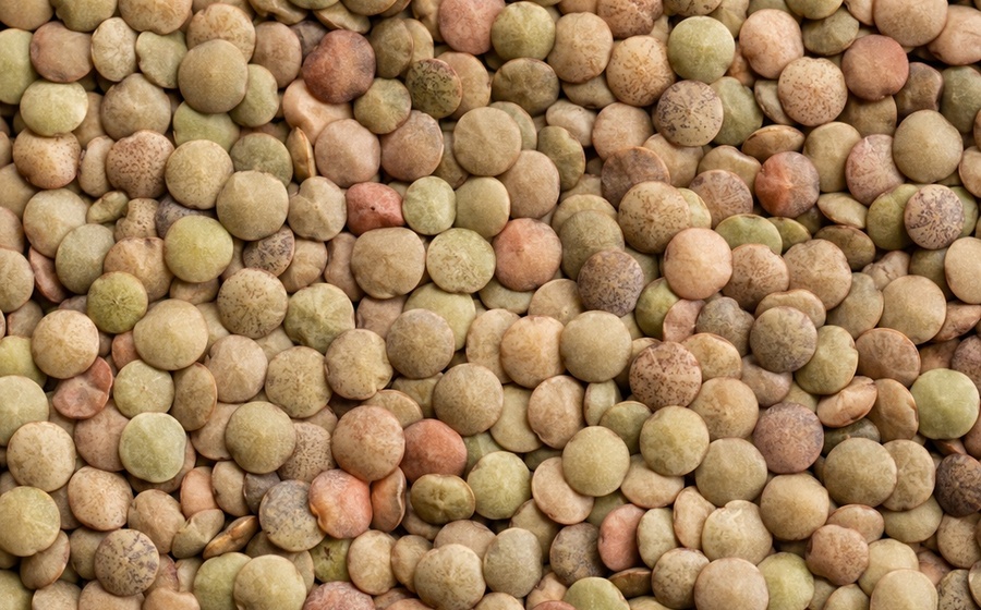 Lentils
