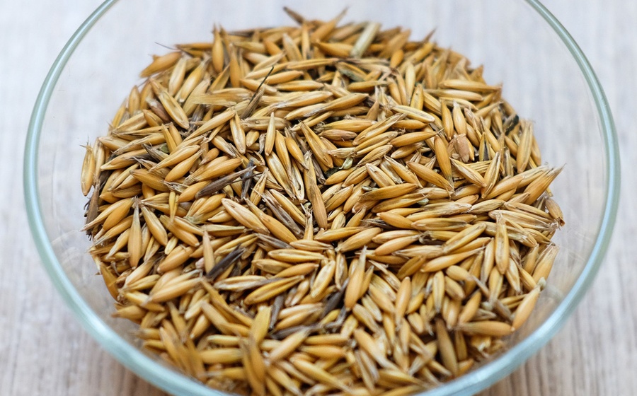 Oats