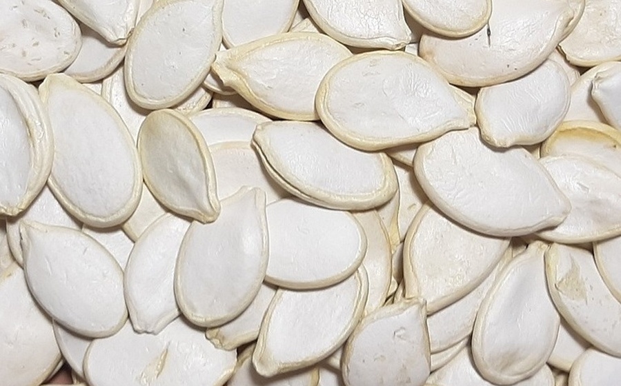 Pumpkin Seeds