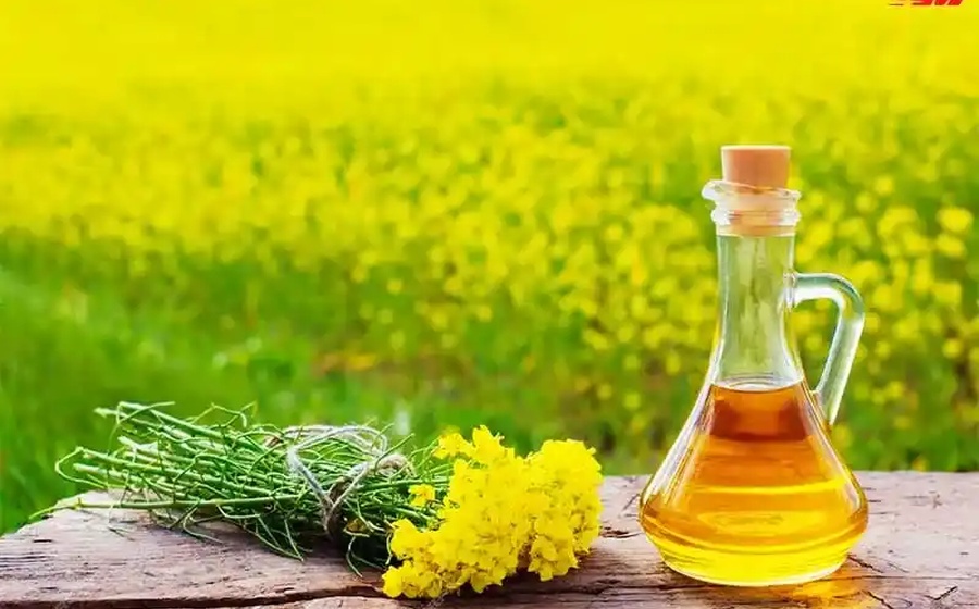 Rapeseed Oil