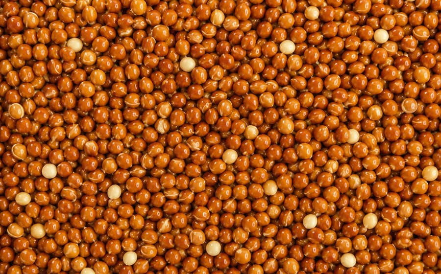 Red Millet