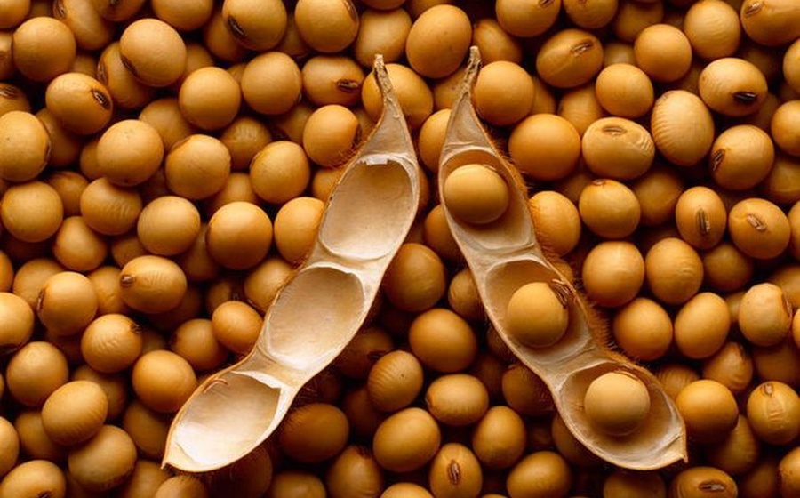 Soybeans