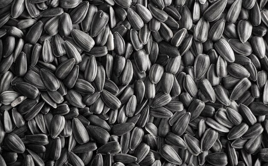Sunflower Seeds